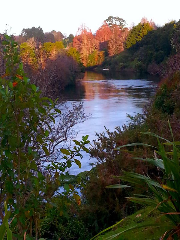 WaikatoRiverWalkNearby